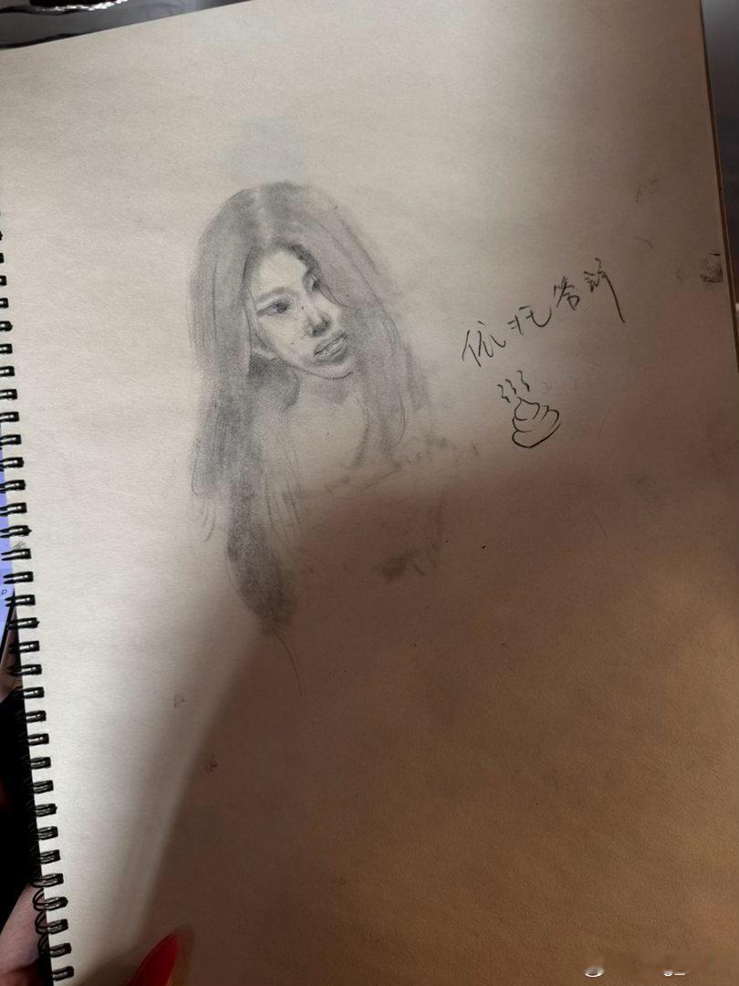 画的鸡毛呢 旁边是我的评价 ​​​