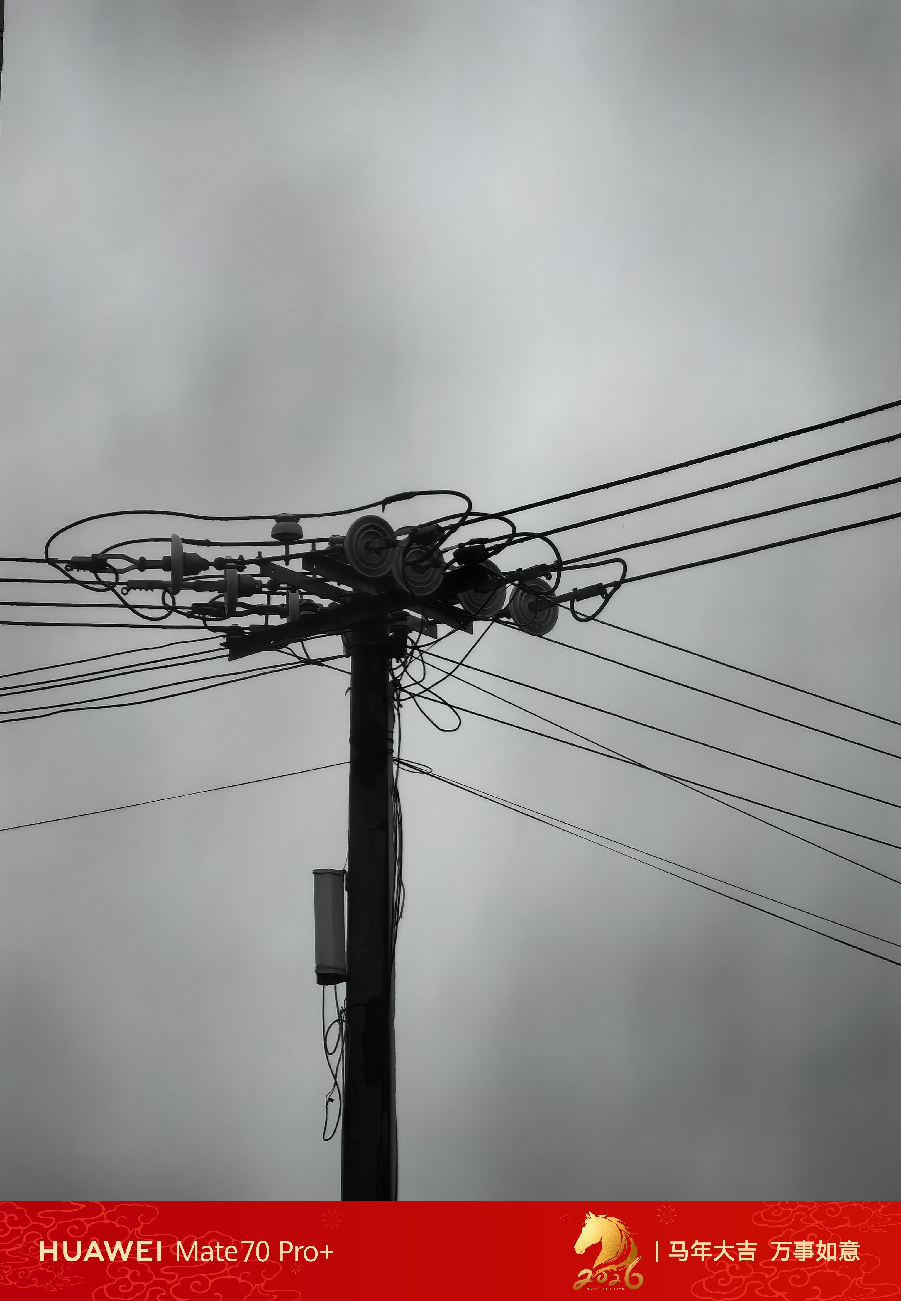 早～应该都没我起的早吧？ 