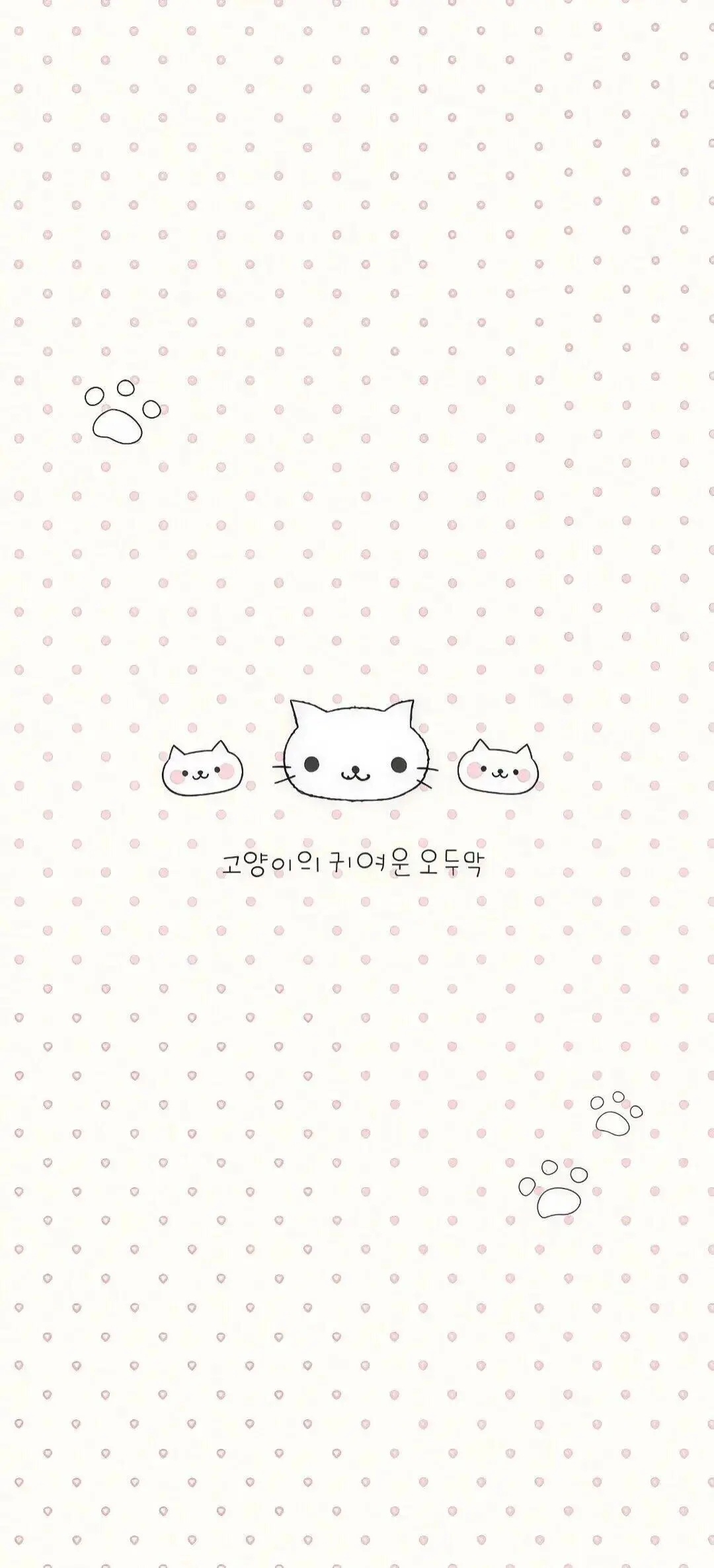 𝐒𝐡𝐚𝐫𝐞丨韩系手机壁纸 