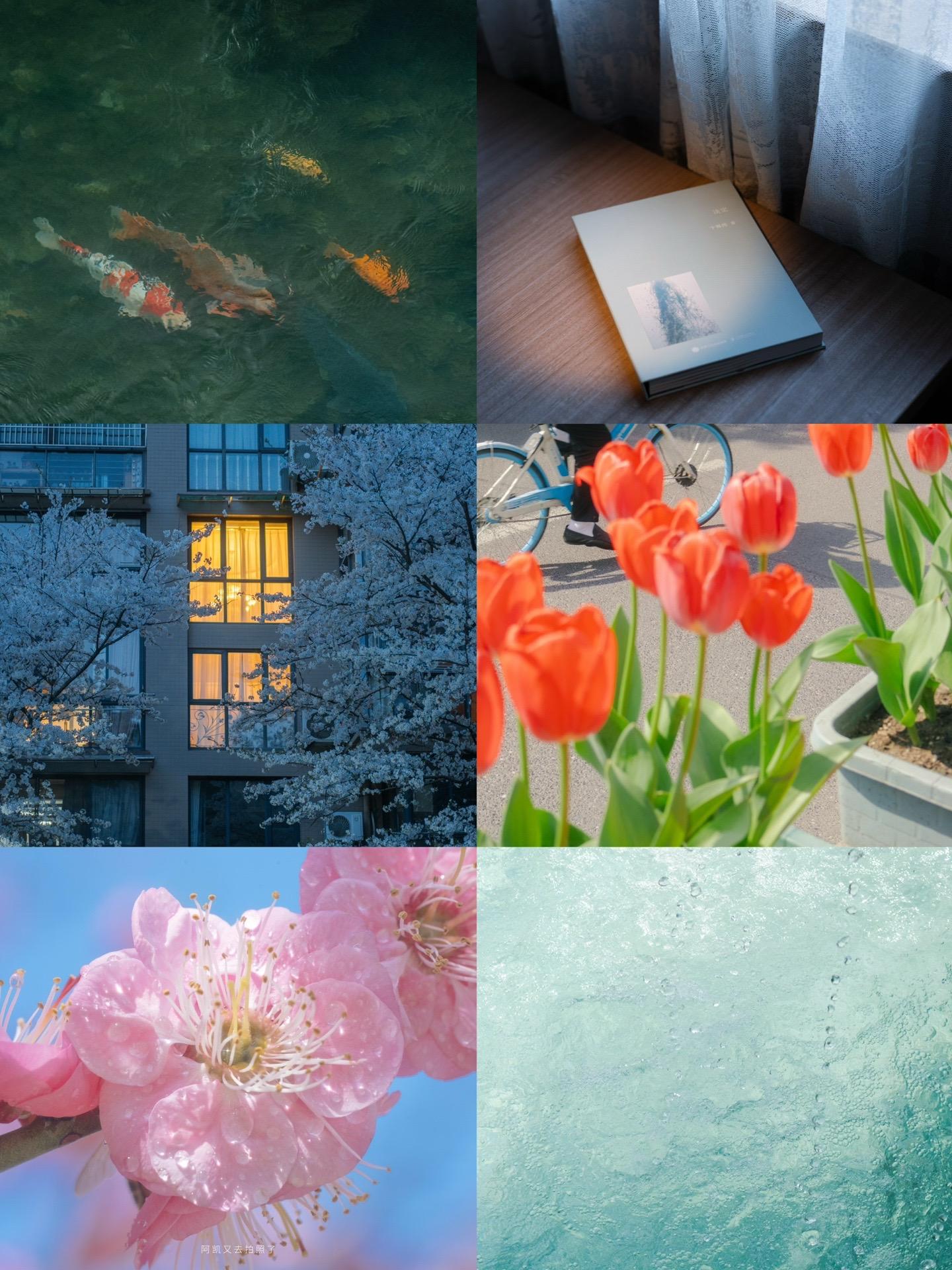 抬头就能看见的春天。