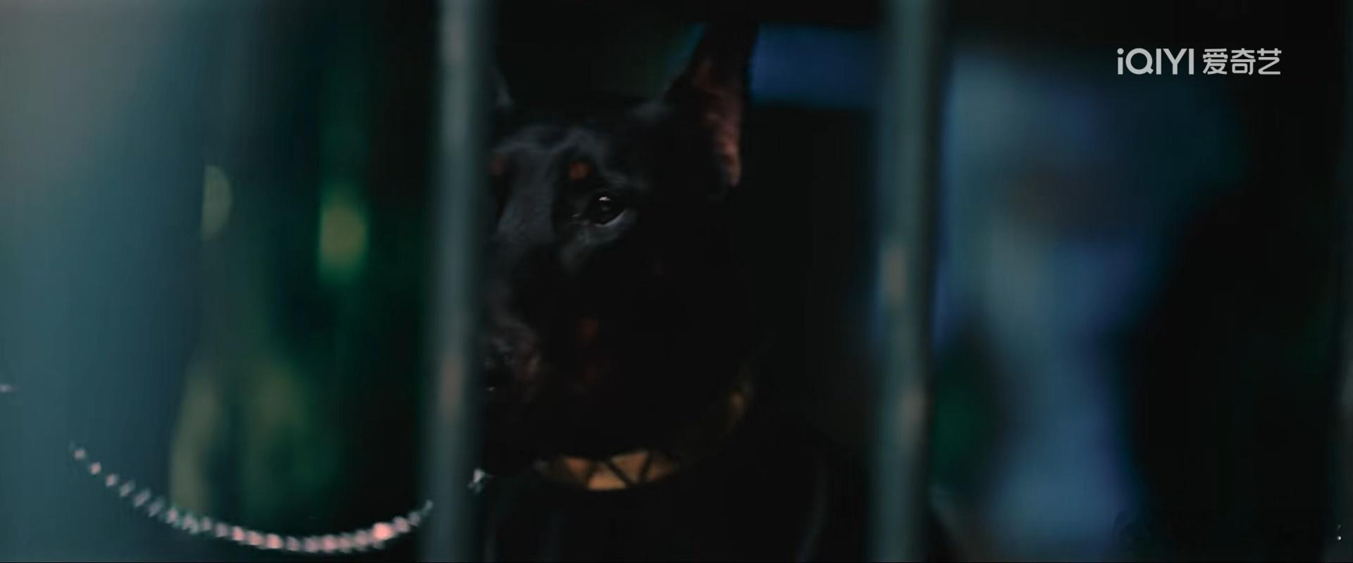 罚罪2开播黄景瑜秦枫黄景瑜罚罪2 这是火锅？？ 