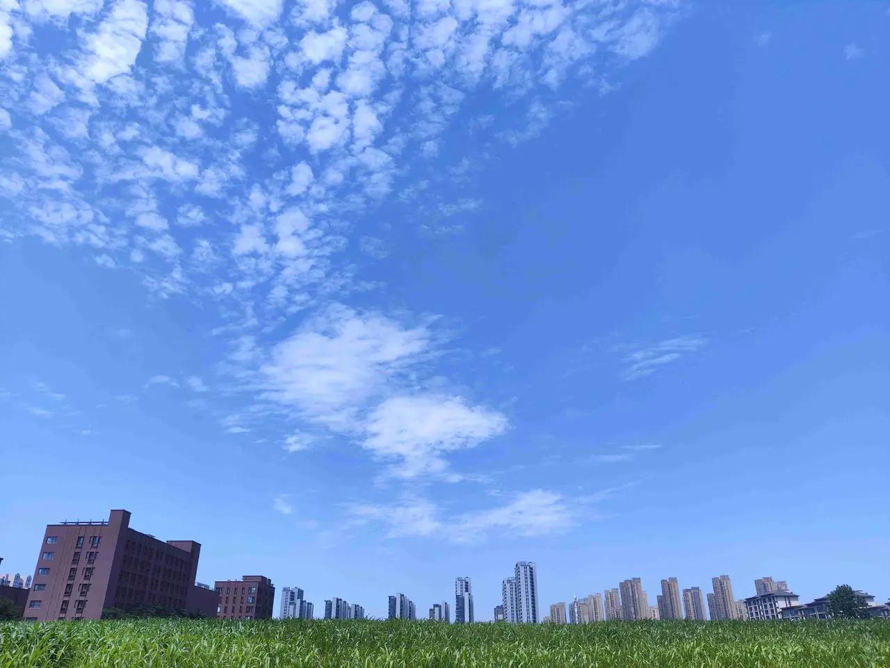 随手一拍的一张天空照睛空万里，白云飘飘。