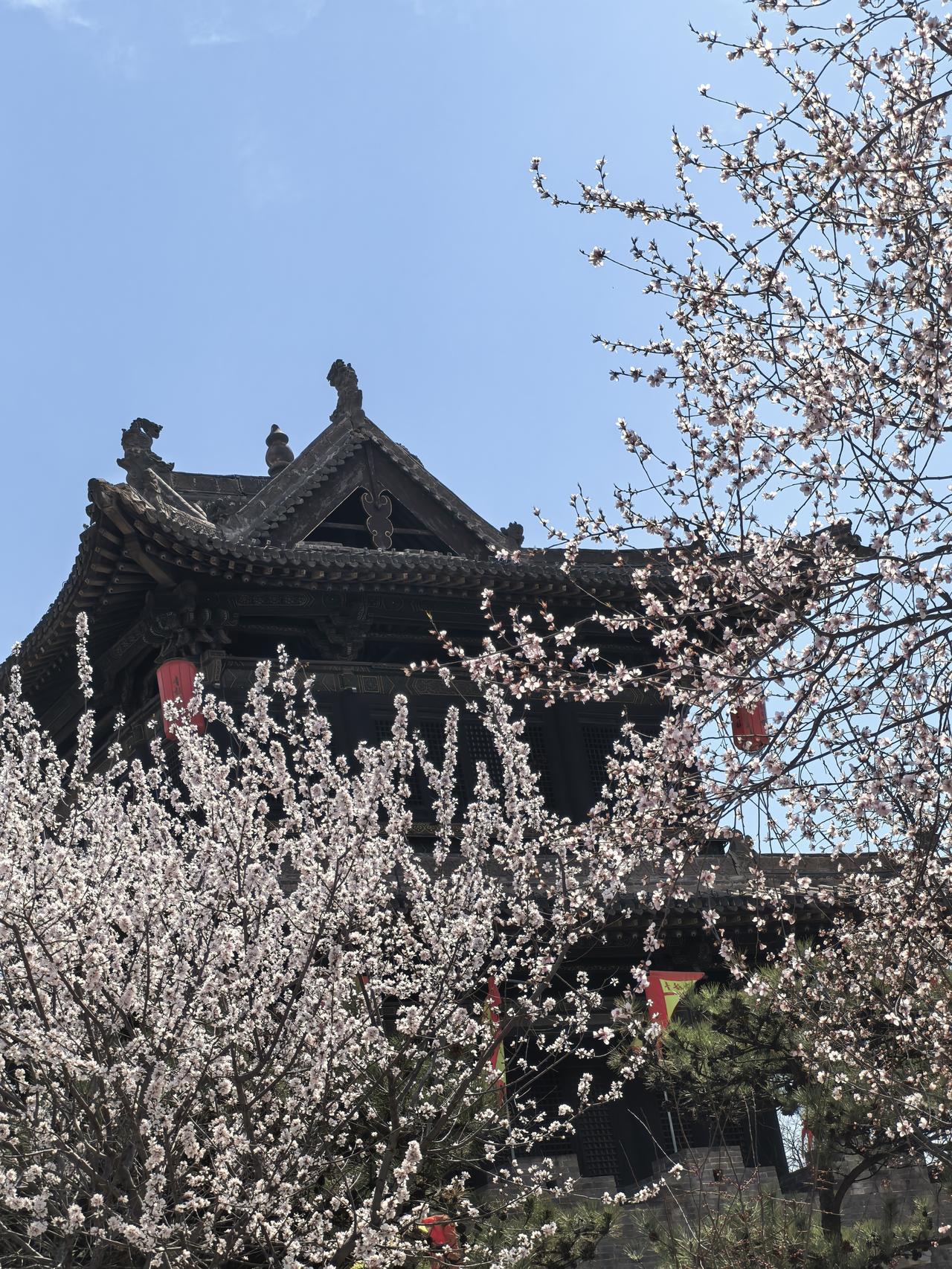 古庙苔深锁旧尘，
桃花数树破墙春。