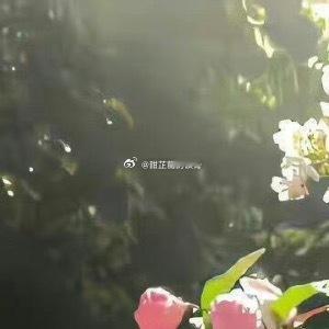 崇裕二年，孟冬之际，汴京城三十里外的兰溪县青桥村的乡路上，苏氏夫妇携家中女使碧云