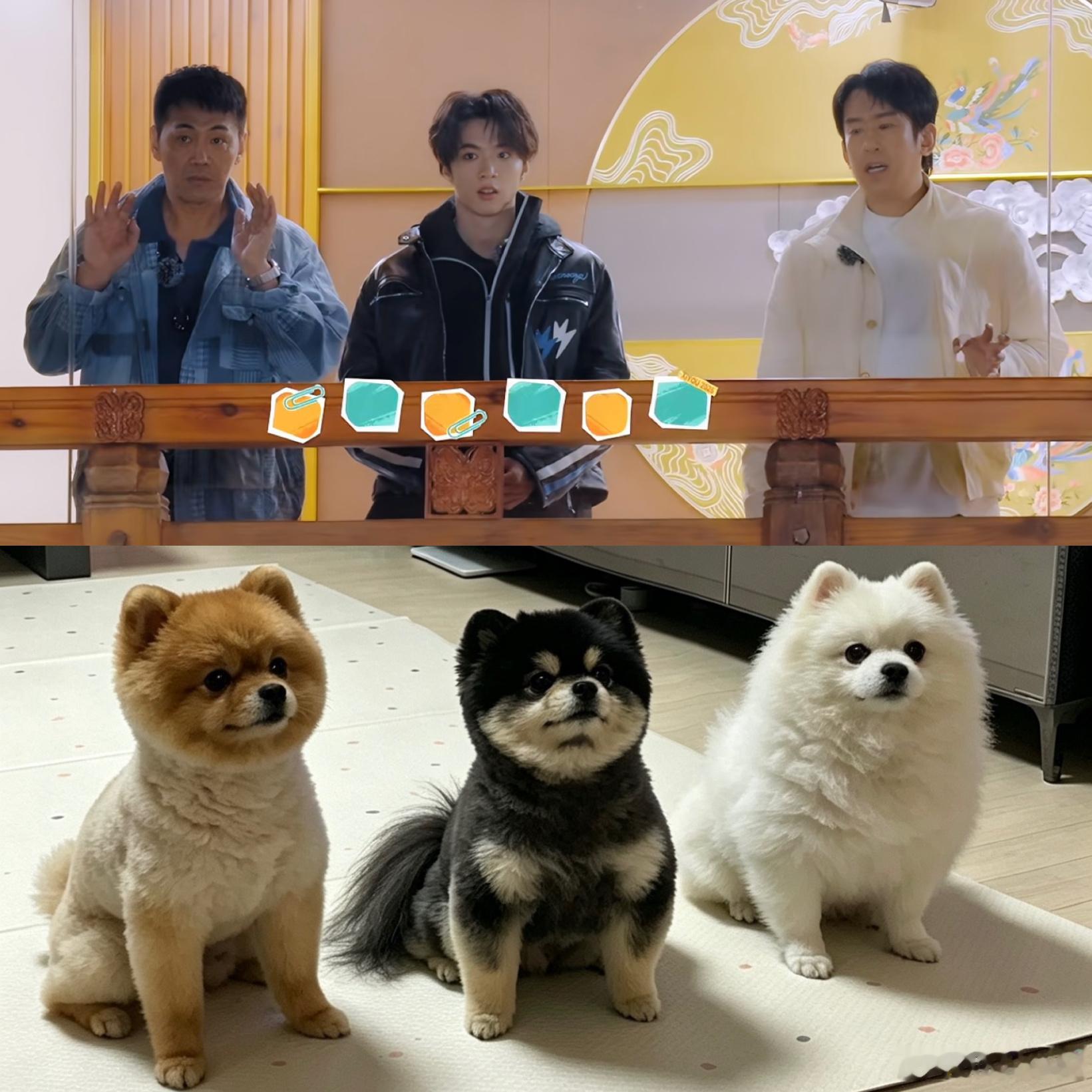 我都刘耀文这是我的西游2 .时代少年团沈阳音乐节