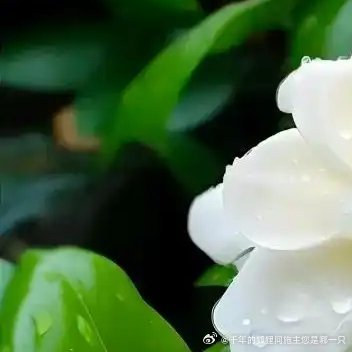 每日一善[超话]❤️每日一善 ❤️阳光信用 ​人生最好的状态，是每天醒来面朝阳光