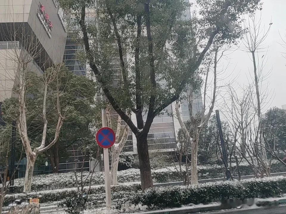 今年冬天的不同武汉冬天第一场雪