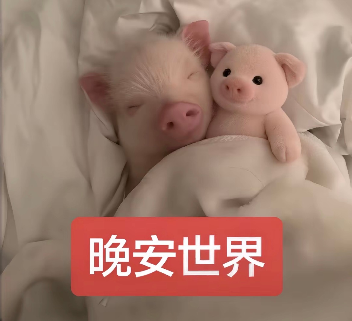 分享图片 