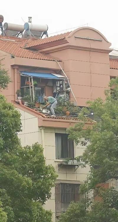 敬佩这位用生命在养花的大爷