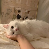 唠叨日常