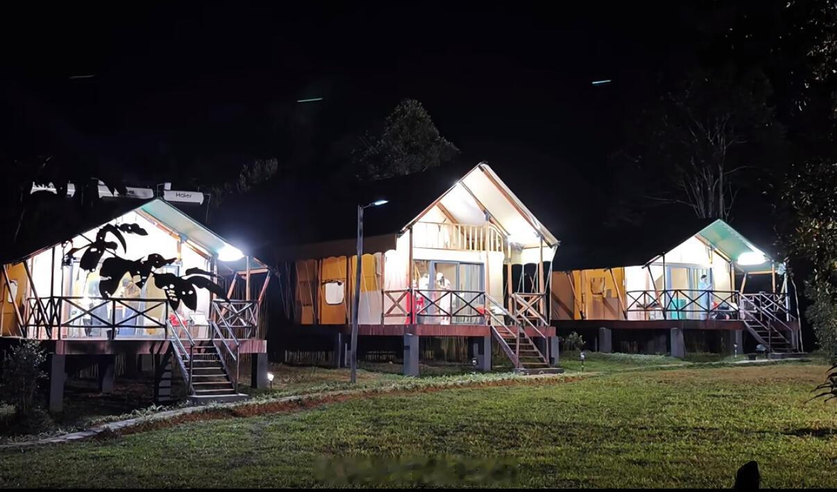 花少马达加斯加路透花儿与少年 花少团住的小木屋 ​​​