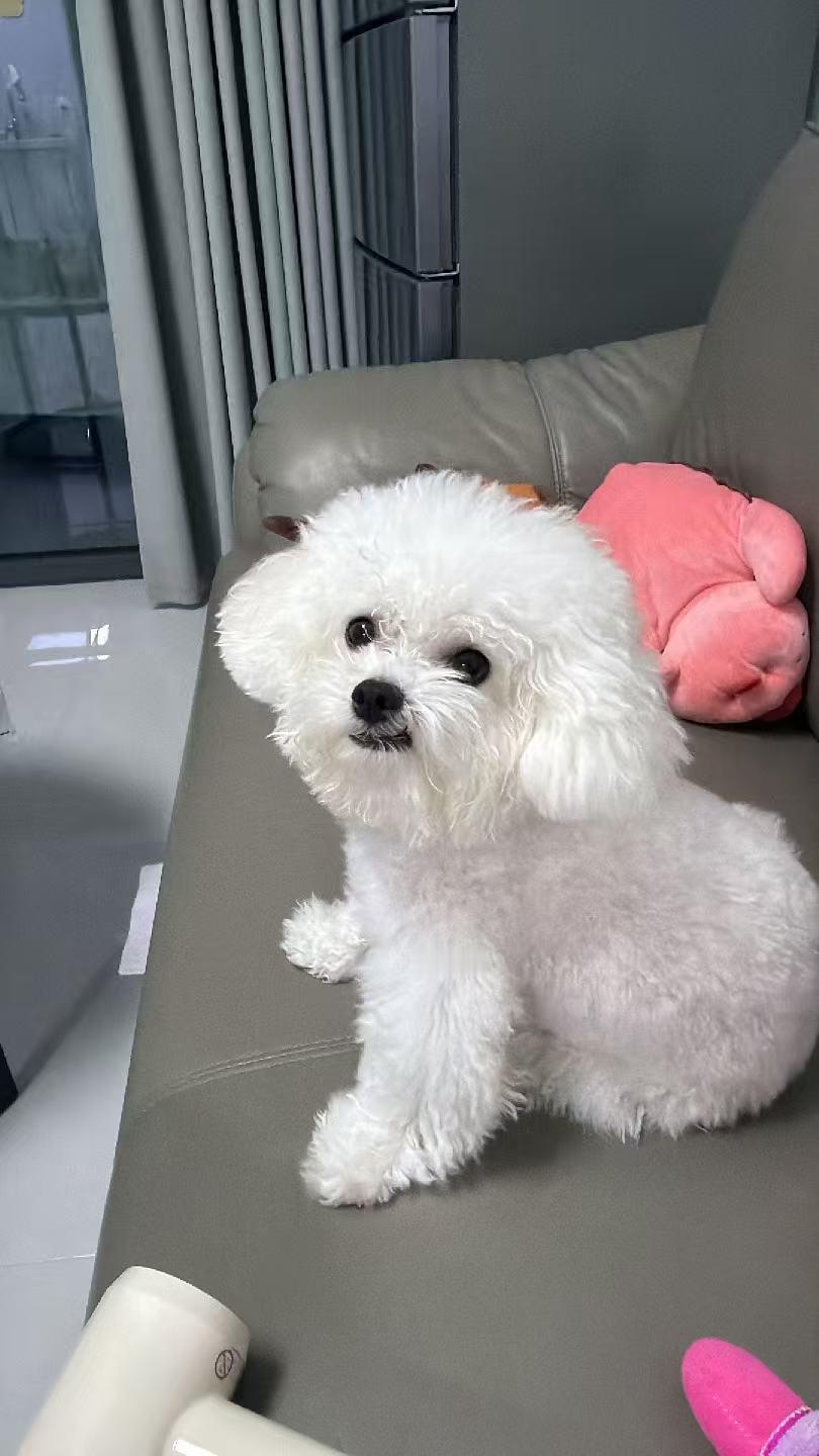 黄岩 揍了一顿之后眼神都清澈了 