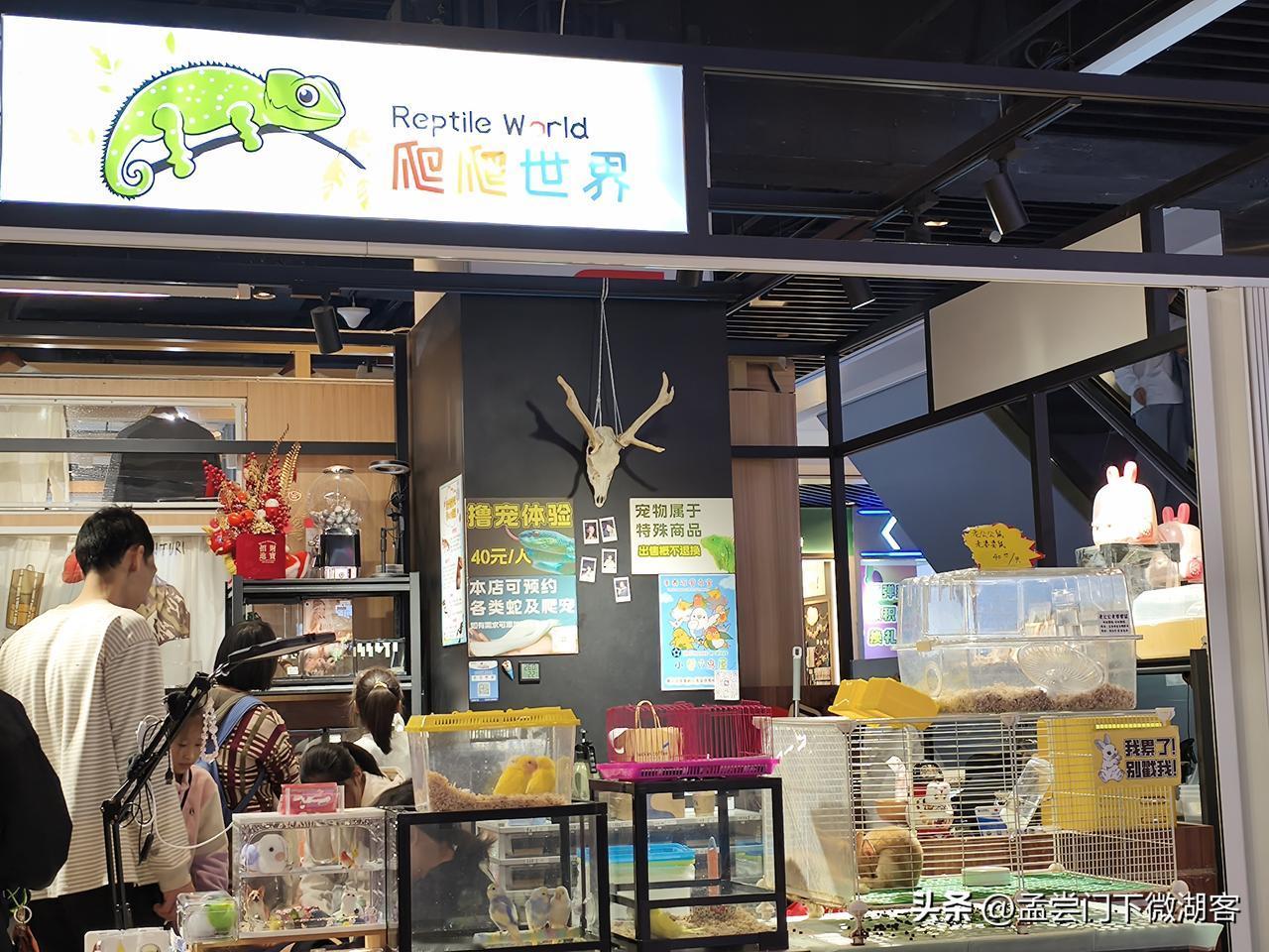 在天津和平大悦城4楼，藏着一个让“爬宠迷”和萌宠爱好者心跳加速的奇妙天地——爬爬