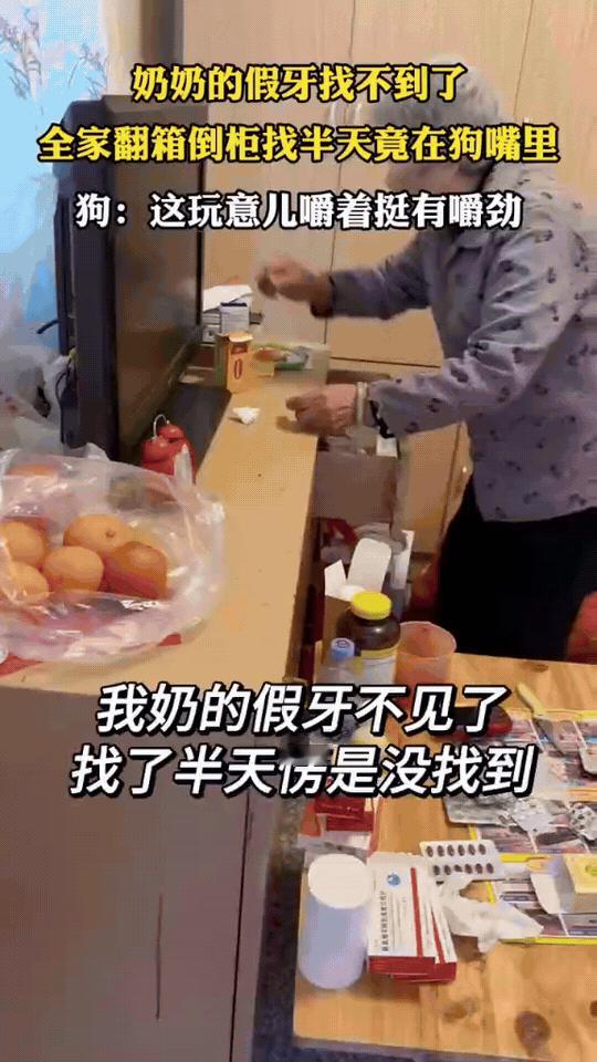 全家急疯找假牙，转头看见狗在咧嘴笑

奶奶的假牙凭空消失，全家翻箱倒柜找了半天都
