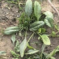 我的今日状态：😁轻松愉快
我这里的天气：☀️晴天