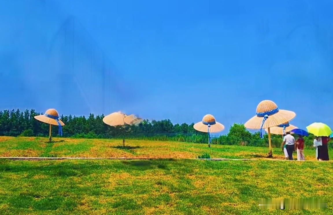 人生就是旅程，我们都是行人，都在路上。若是不忘归途，何处不可去。
