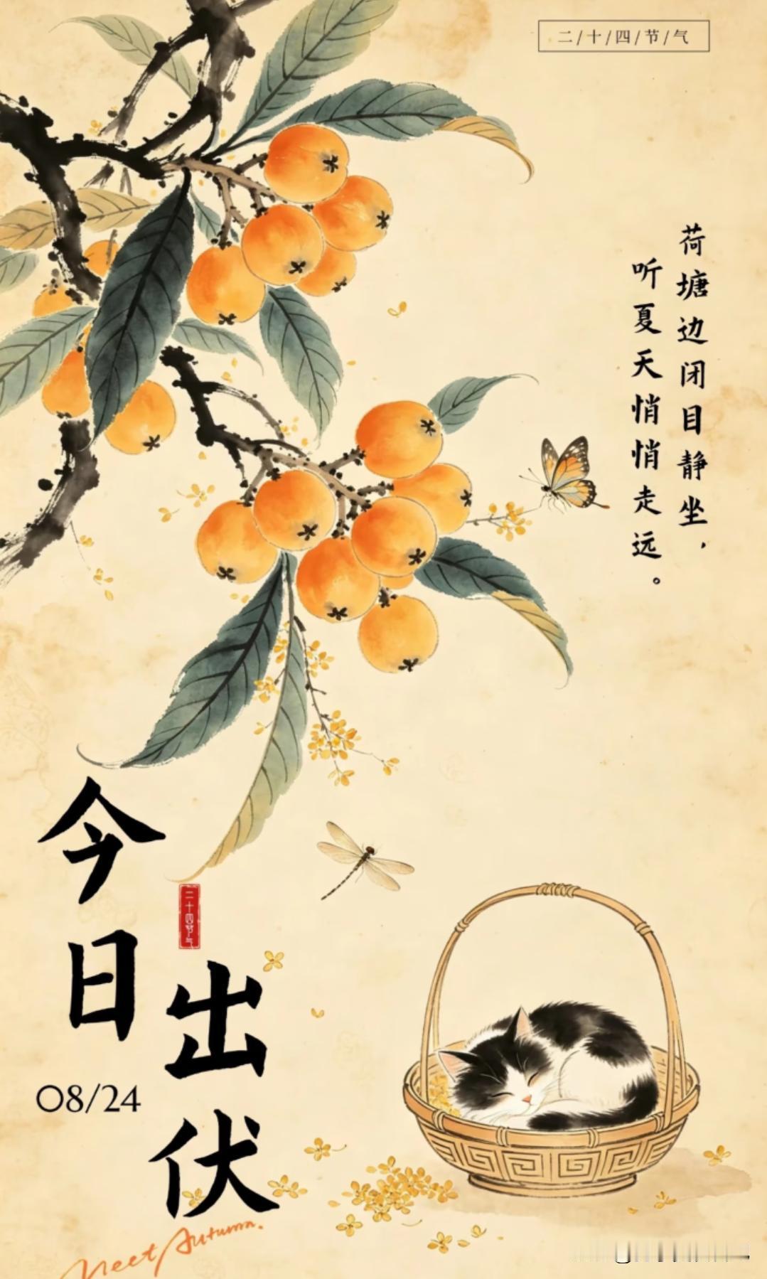 “冬天冷不冷，就看出伏”，今日出伏，今年冬天会冷到哭吗？

先说说老祖宗咋看的