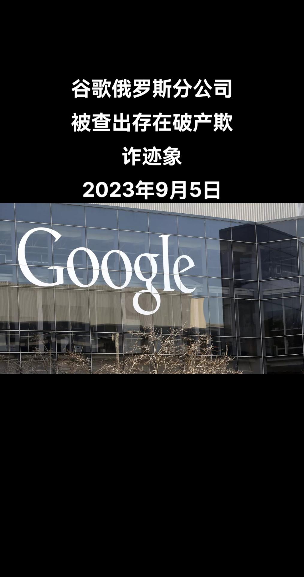 俄罗斯联邦法律实体实体国家统一登记处（Fedresurs）网站发布谷歌俄罗斯子公