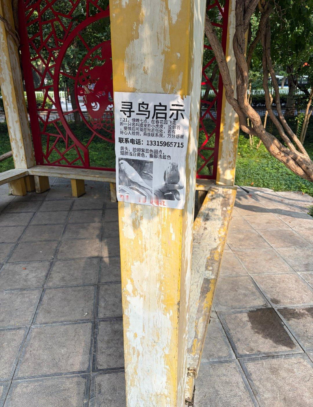 🐦：主人太笨了，我飞走了你倒是打印张彩色的啊