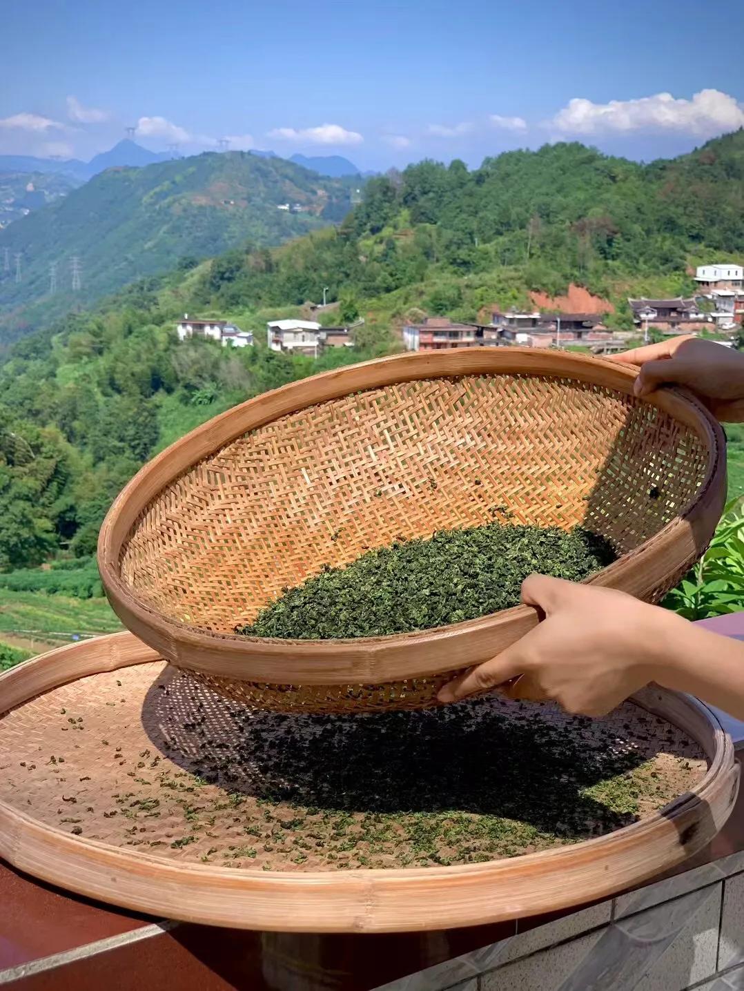 颜色翠绿，口感醇厚浓郁饱满，叶底肥厚，汤色纯净。适合重口味的……