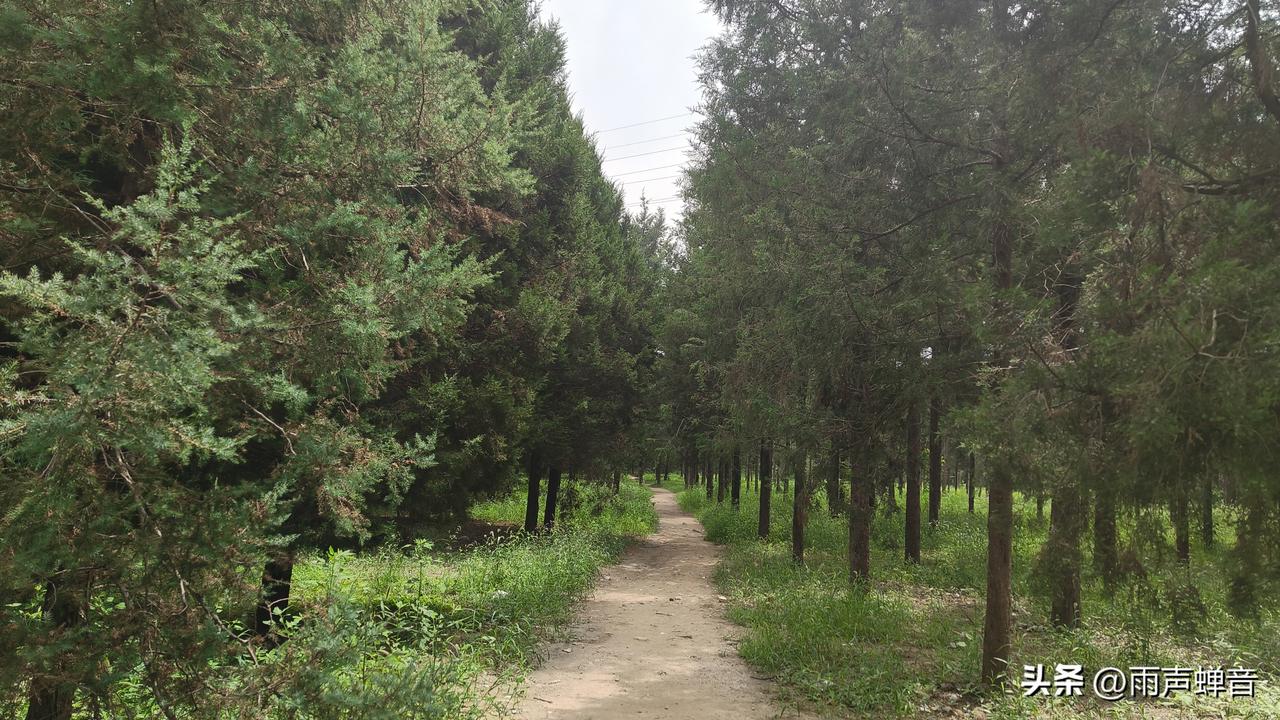 打工人，一定要有的十个心眼:

‍打工久了就会明白，人在职场中，可以不耍心机，但
