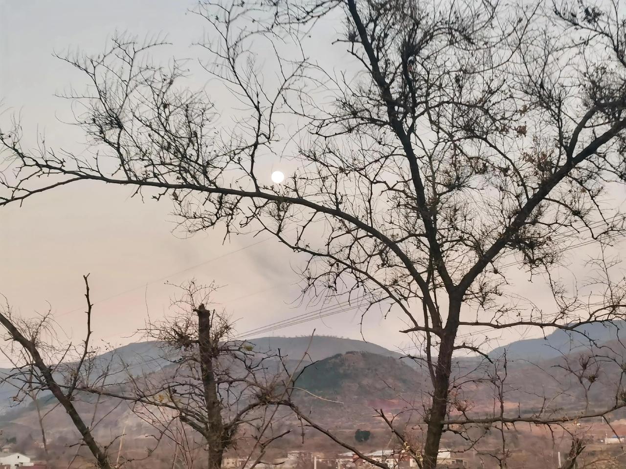 月上梢头
 
远山衔着薄暮，月亮便从枯树的枝桠间探出来了。褪去生机的枝干纵横如网