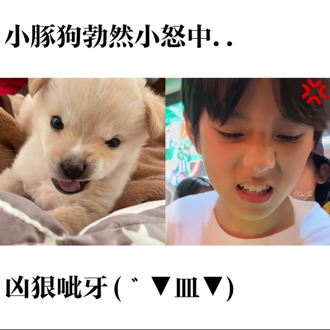 王橹杰你不知道你有多可爱 
