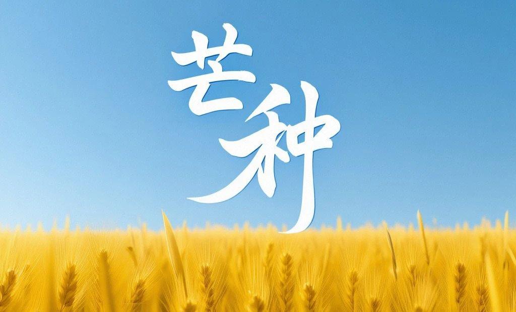 今日芒种：三忌，三宜，三秘诀，过好湿热最重的15天
芒种到，夏的第三个节气，也是
