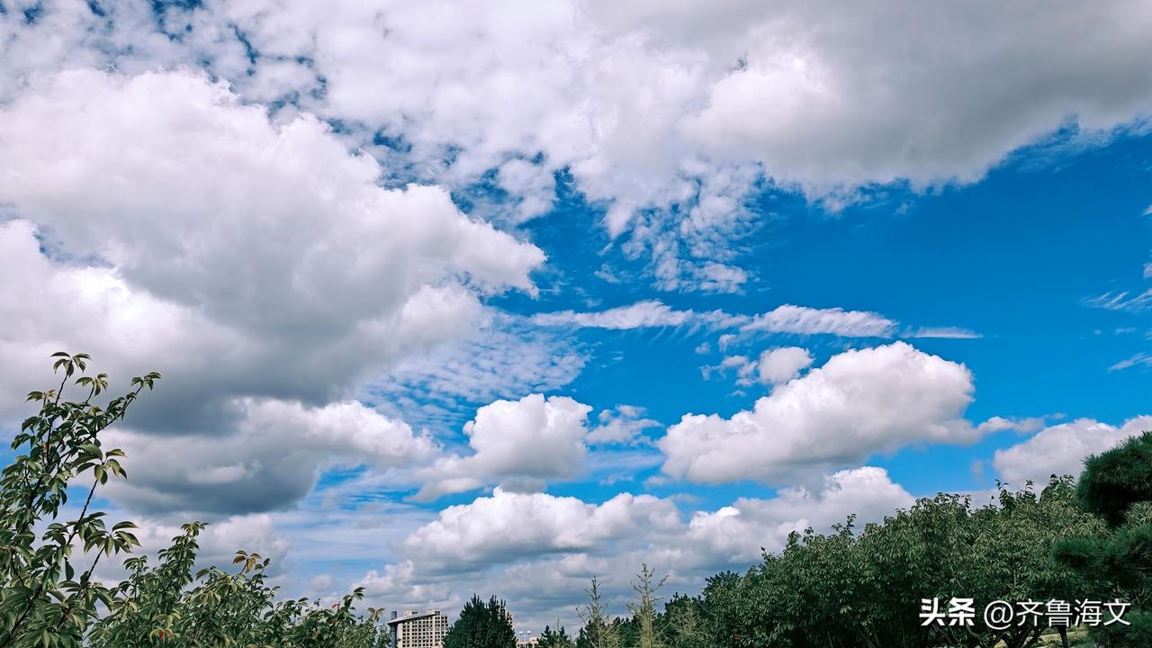 《五绝·蓝天白云》
晴空澄似洗，云白自悠哉。
变幻随风意，阴晴任去来。