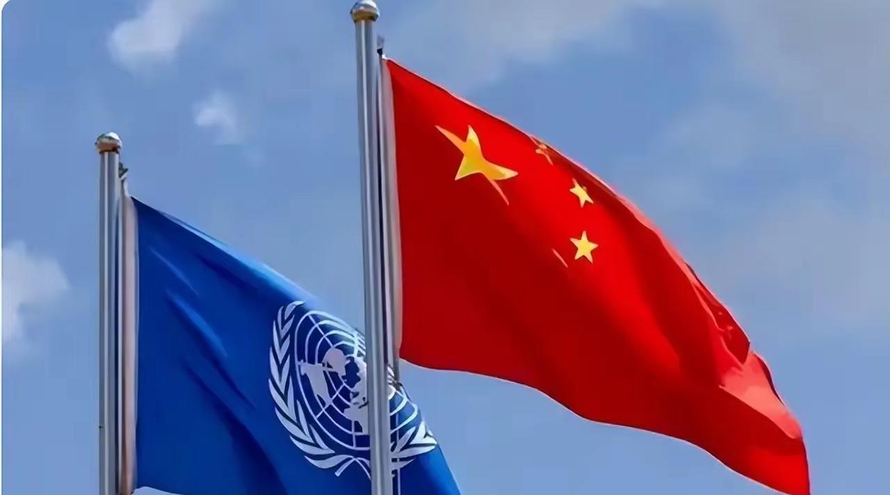 怒了！中国砸6.8亿养联合国，换来的却是致命双标！忍无可忍！中国对联合国的包容，