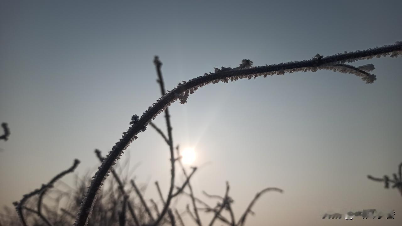冬日生活打卡季冷的漂亮