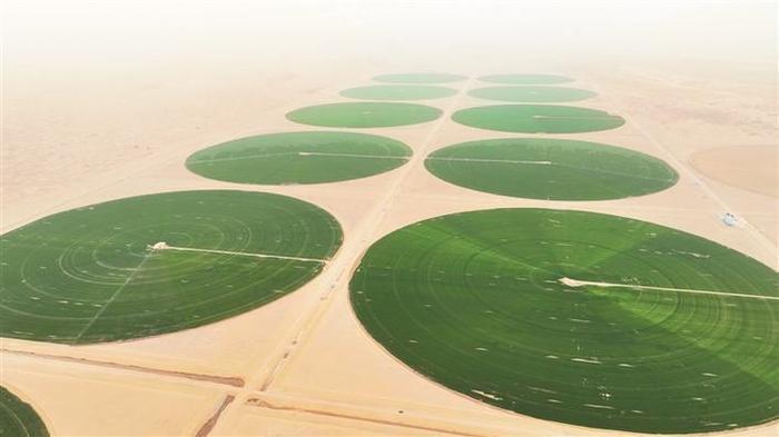 沙漠里长出巨型绿圈，你敢信？


塔克拉玛干沙漠，以前鸟都不乐意飞过去。现在可不