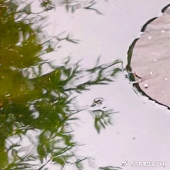 阳光，不只是来自太阳，也来自我们的内心。心里有阳光，才能看到世界美好的一面；心里