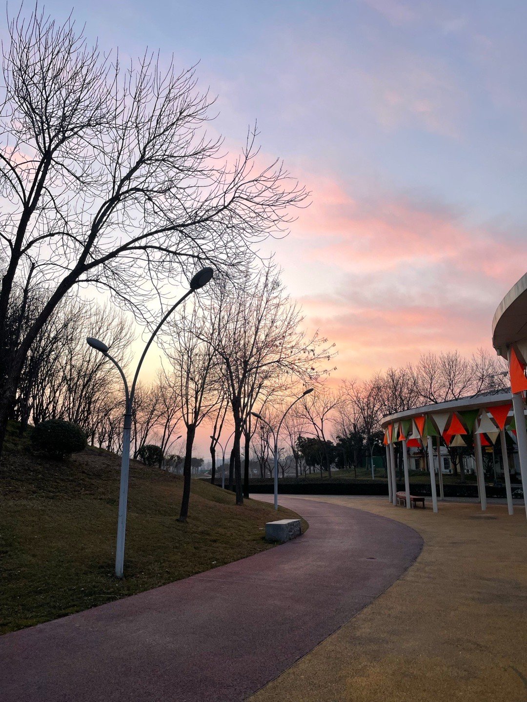 睡的比猪晚 起的比鸡早 