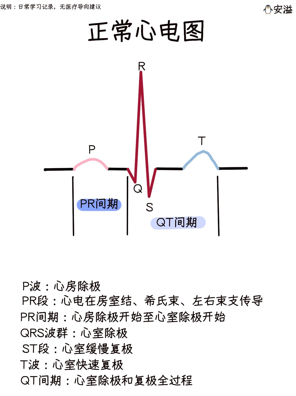 边画画边学医之‖心电图