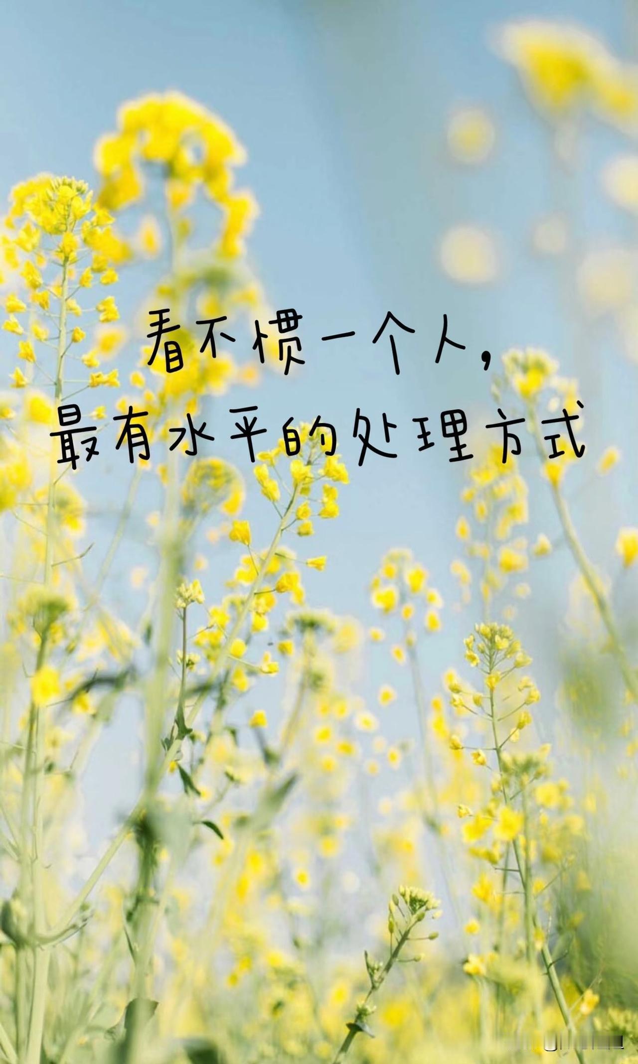 冯唐一语中的：
“当你厌恶你身边的人，
表达厌恶最好的方式，
不是和他们争吵，