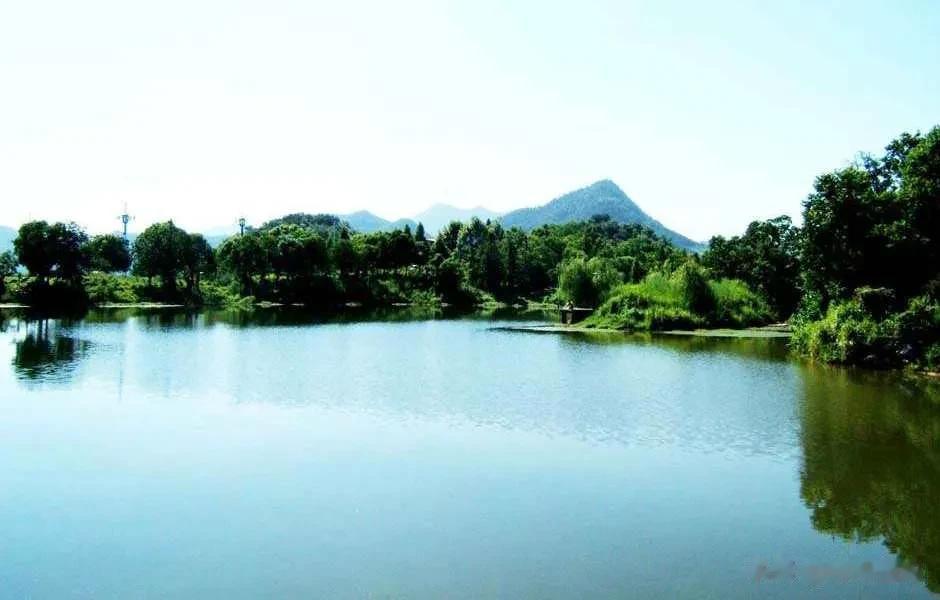 “人在画中行”。被誉为临安第一景的青山湖，湖面一碧如镜，白鹭翩翩，鱼翔清波，泛舟