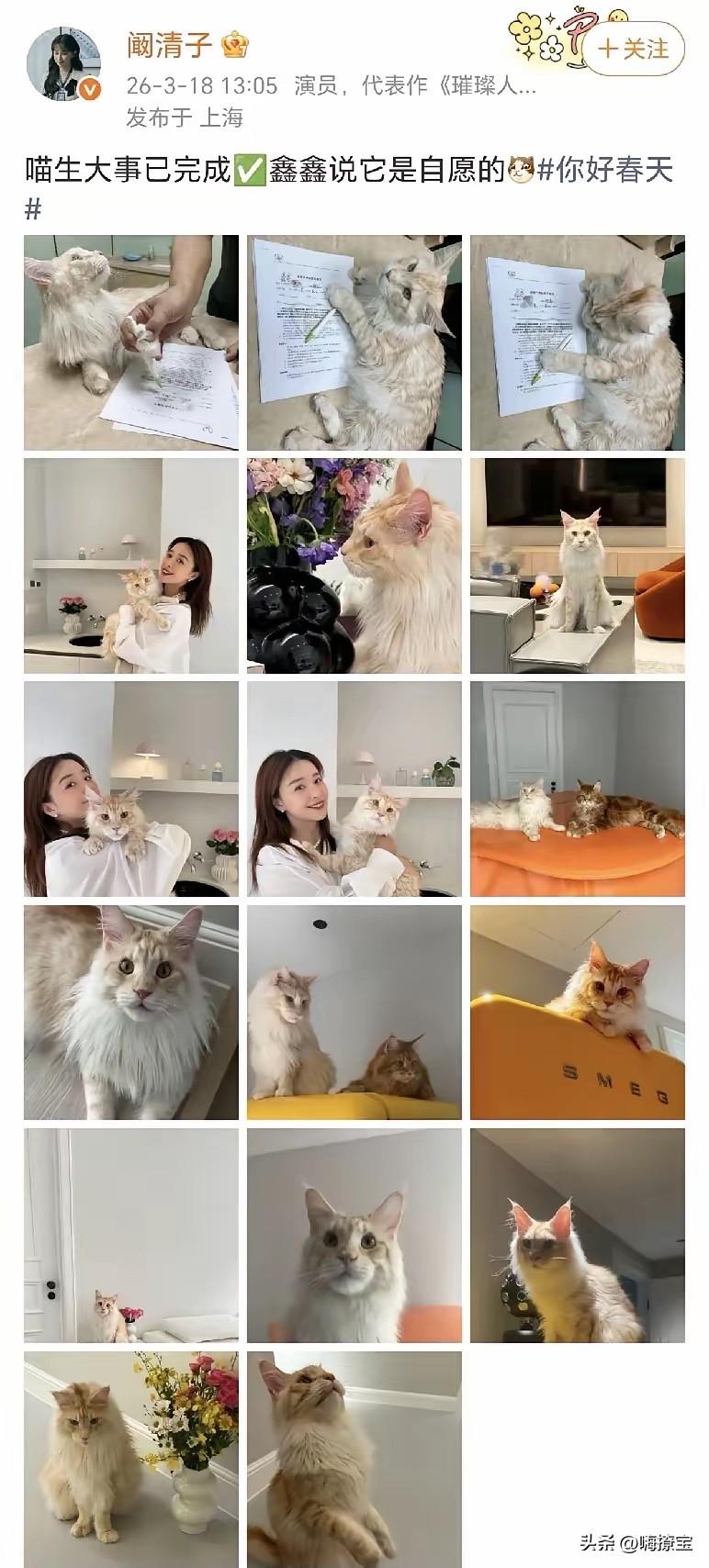 子弹飞了那么久
看来真的不是空穴来风
之前阚清子那个事儿
我一直都保持不信谣不传