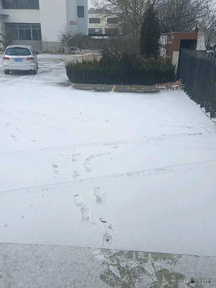 下雪天，开什么车合适？