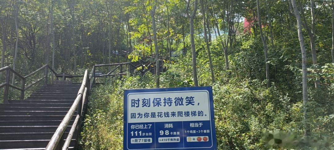 我仿佛听见楼梯在嘲笑我😧😧😧 #镜头里的欢乐瞬间# ​​​
