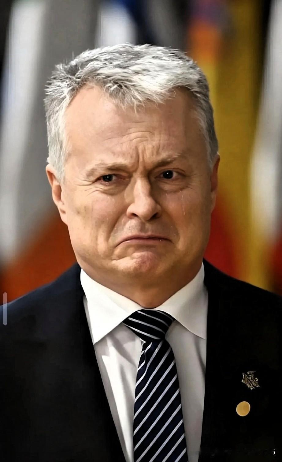 立陶宛总统近几日承认当初允许台当局在维尔纽斯设立代表处的做法是错误的。这个错误不