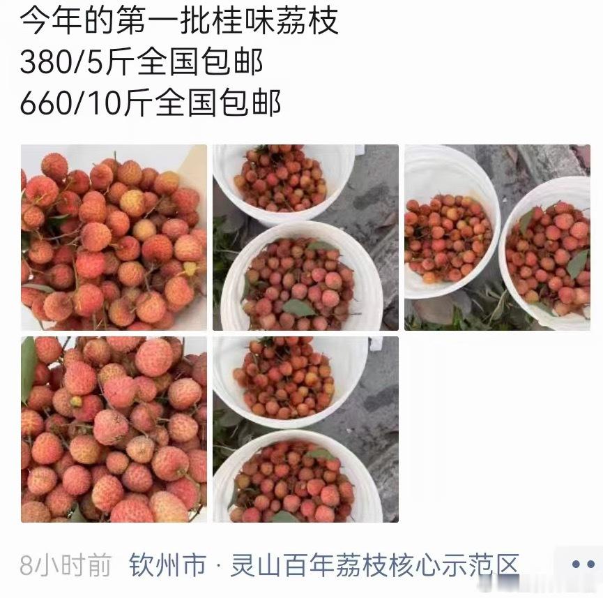 66一斤桂味哈哈哈哈哈哈疯了彻底对荔枝死心了 