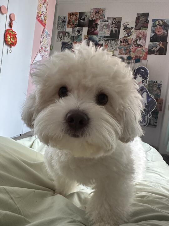 小笨蛋 快起床啦