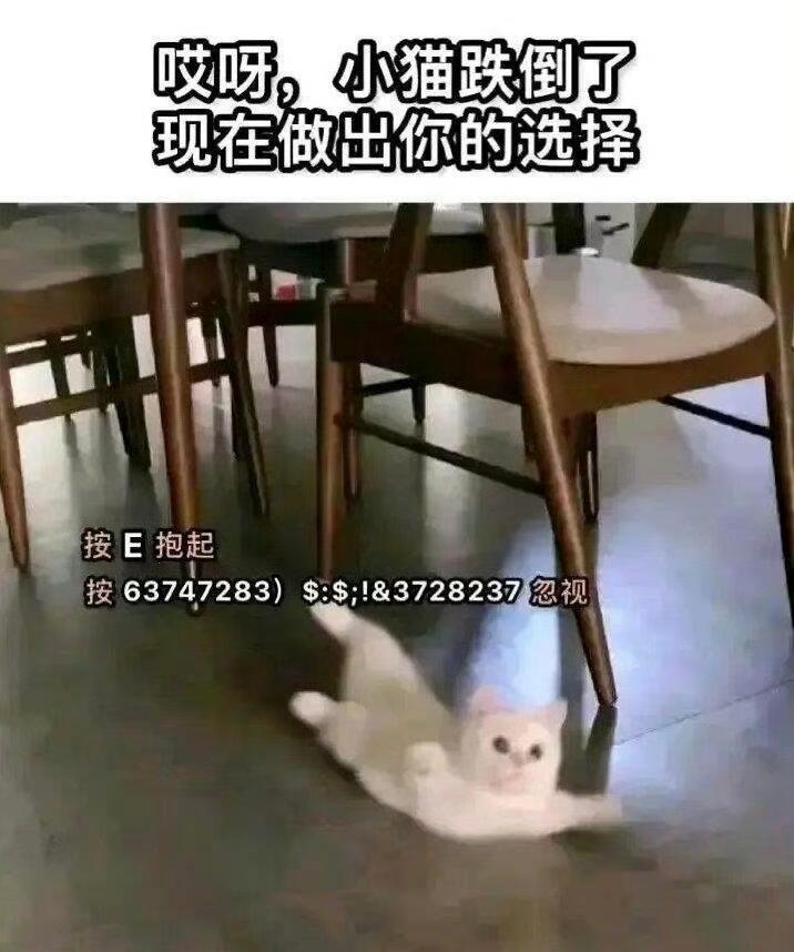 EEEEEEE 