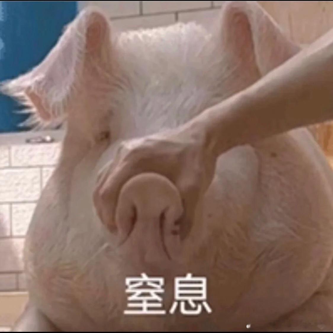 孙千 升咖早春晴朗最近的热搜，买得是不是太着急了，大部分乐子就是啃一啃老帮菜，都