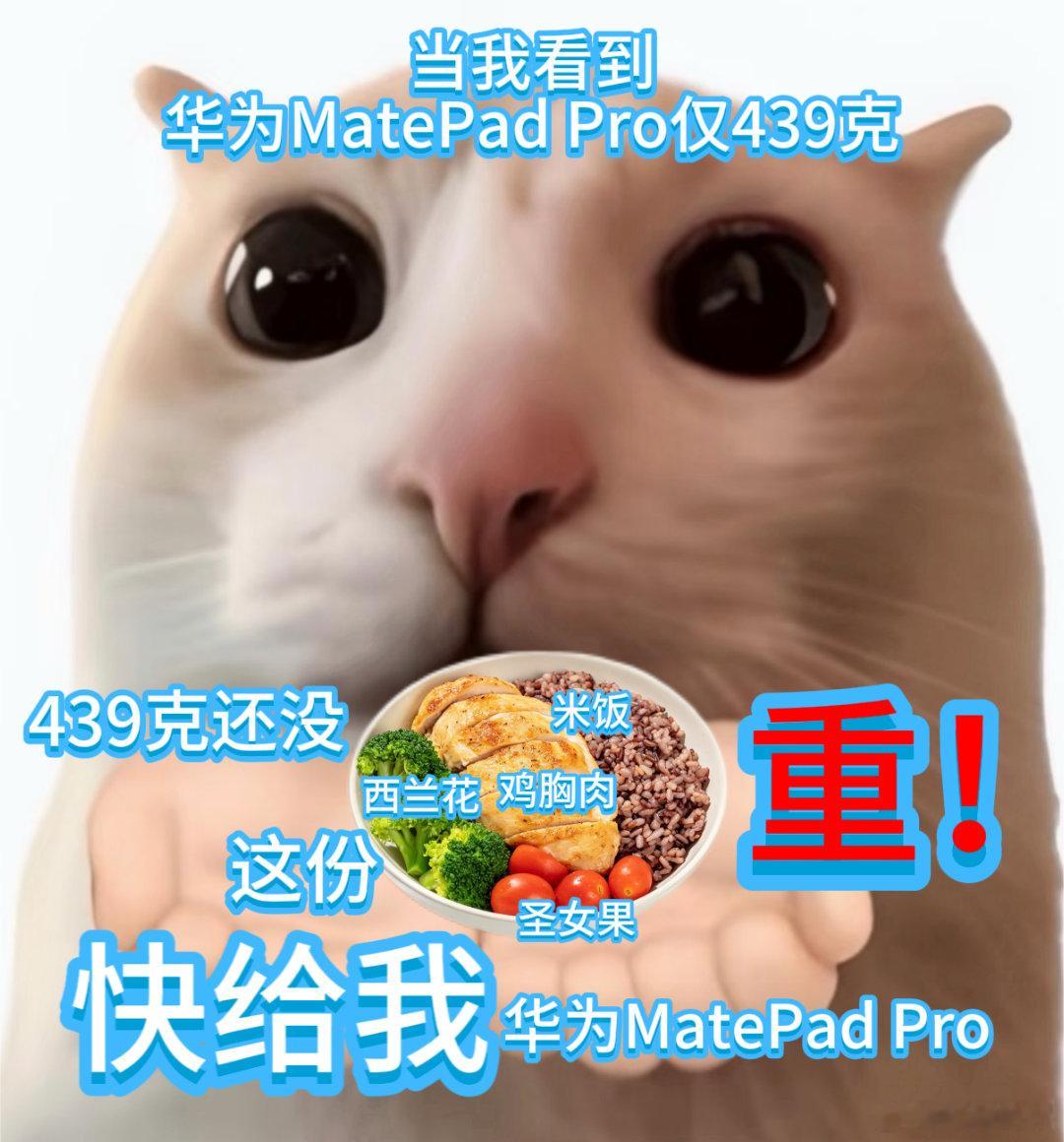 华为官宣新款鸿蒙平板给家里孩子准备学习平板优先选轻便款，华为这款439g重量，孩
