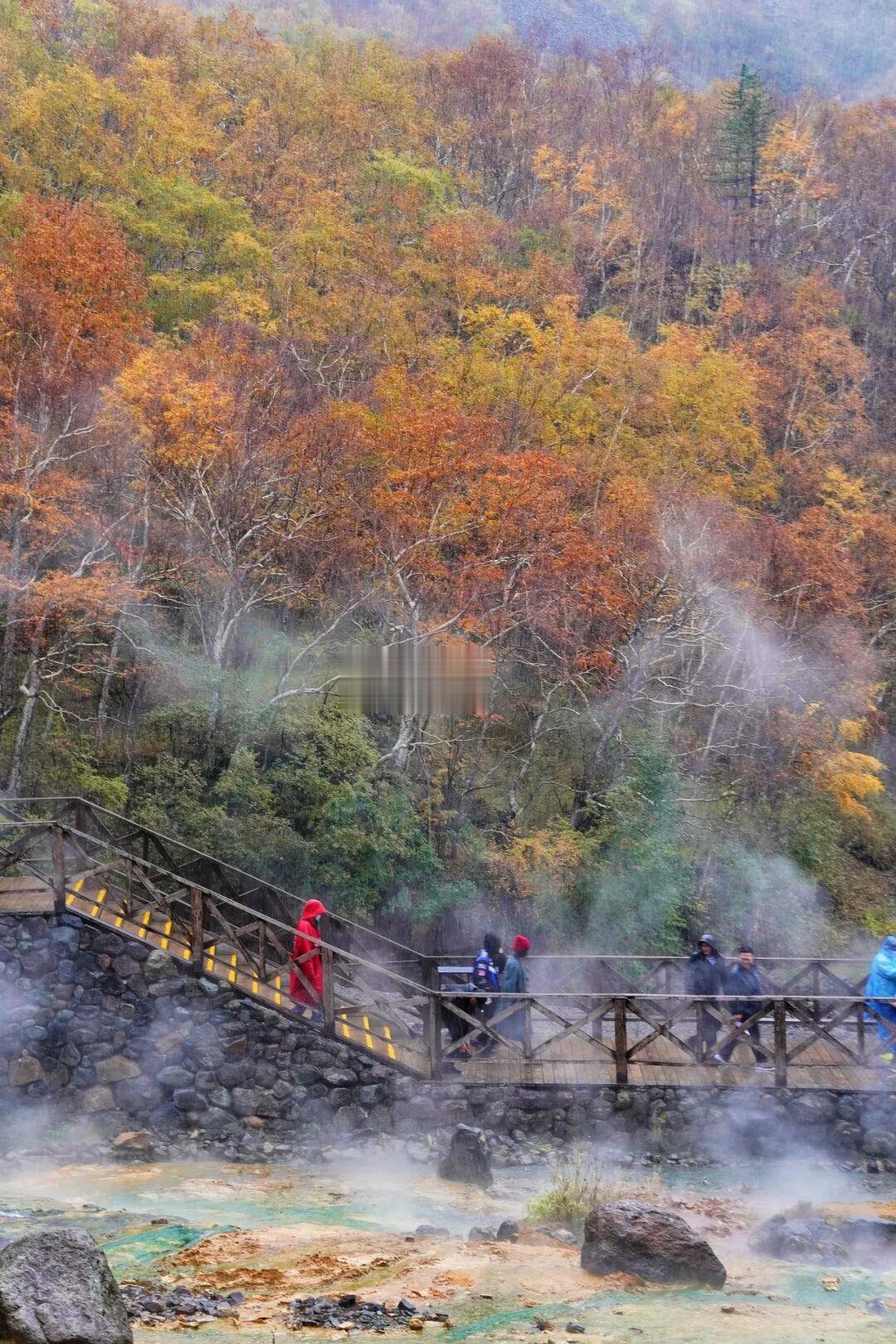 长白山实拍！接下来两个周是秋色的巅峰！