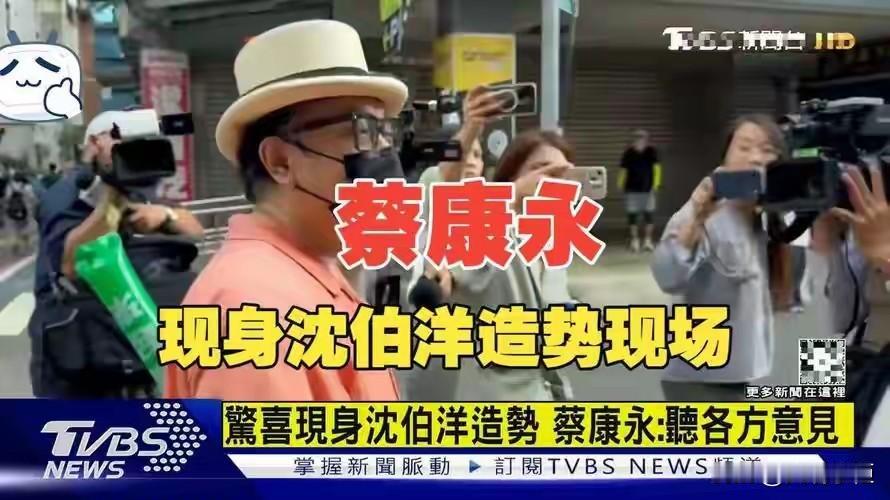 蔡康永否认支持台独，可也没有表示自己是中国人。

他说，我的父母来自上海，是时代