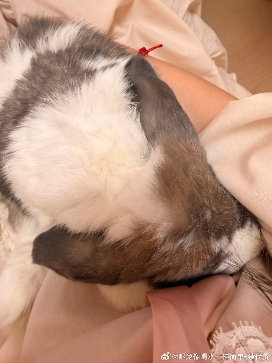 14523🐇【漏馅汤圆】这是什么