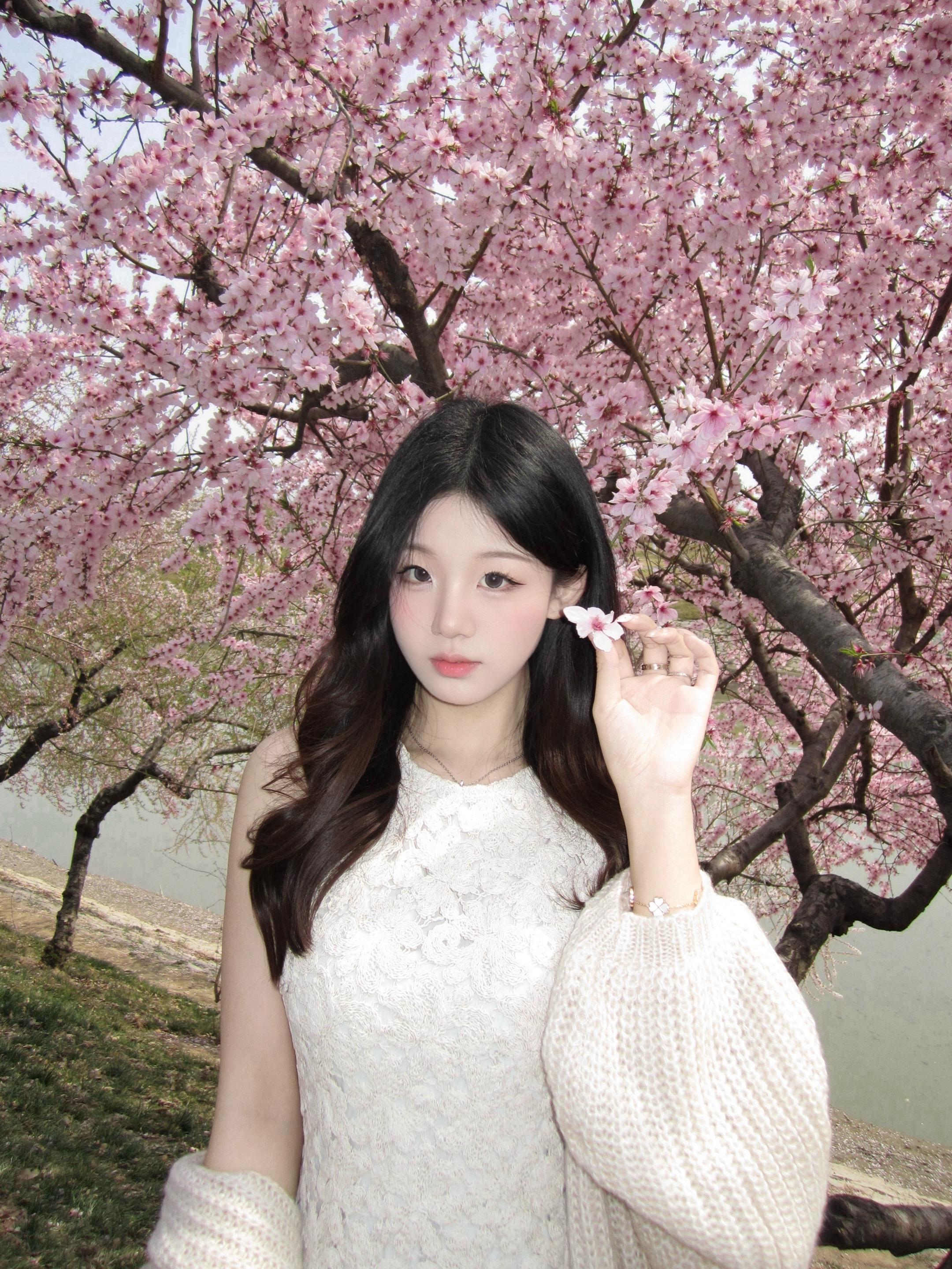 春和景明🌸